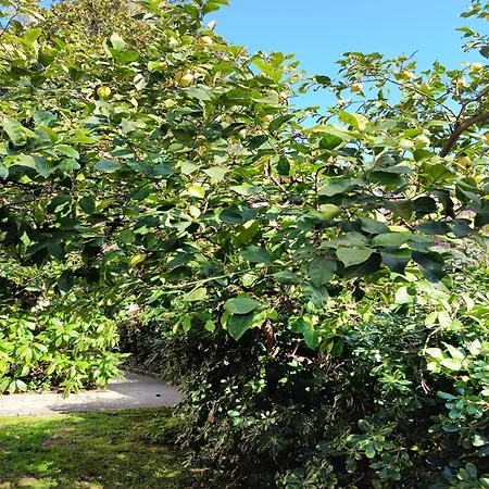 Place - Design House Maison d'hôtes Salernes