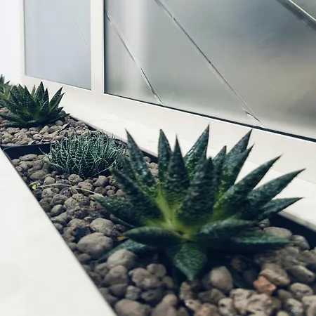 Place - Design House Maison d'hôtes